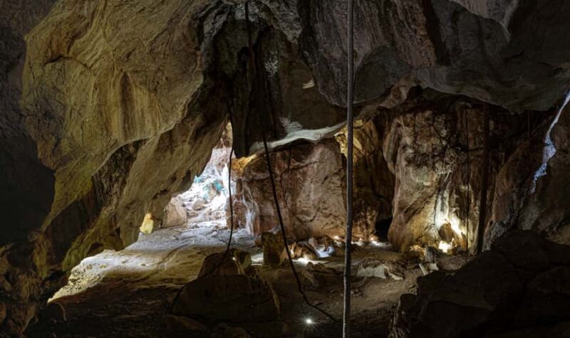 Queensland: 90 Minute Capricorn Caves Explorer Tour - The Sum Up: Is This Tour Right for You?