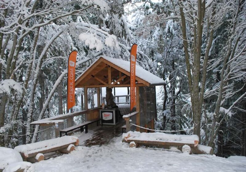 Queenstown: 2-Hour Zipline Tour with 4-Lines - What to Expect at Each Stage