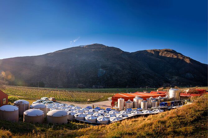 Queenstown Afternoon Wine Tour - Peregrine | Kinross | Amisfield - FAQs