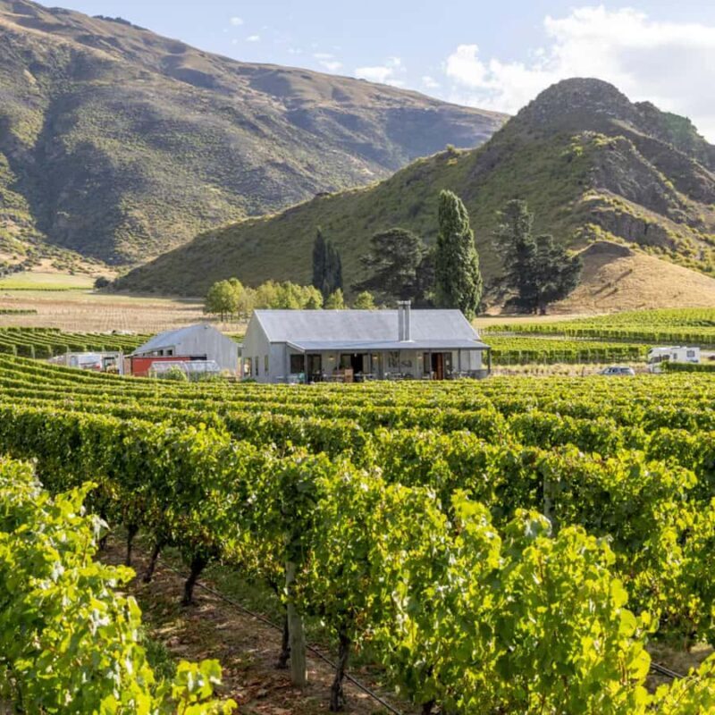 Queenstown, Arrowtown, Gibbston: Flexible Wine Hopper Tours - The Sum Up