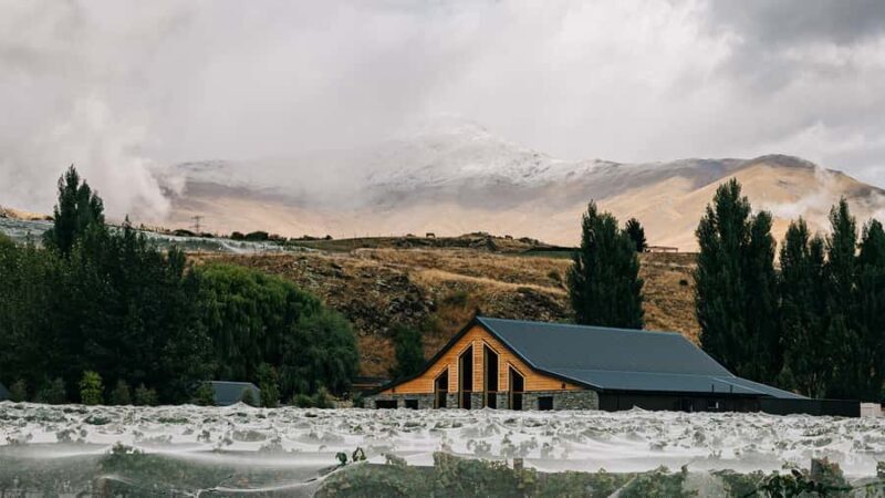 Queenstown: Classic Central Otago Wine Tasting Experience - The Sum Up