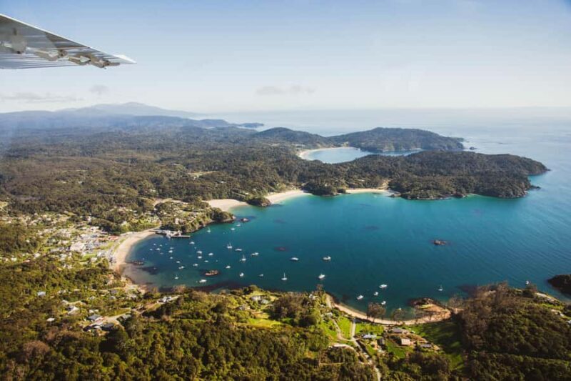 Queenstown: Day Trip to Stewart Island via Scenic Flight - An In-Depth Look at This Stewart Island Day Trip