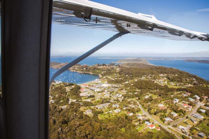 Queenstown: Day Trip to Stewart Island via Scenic Flight - Who This Tour Is Best For