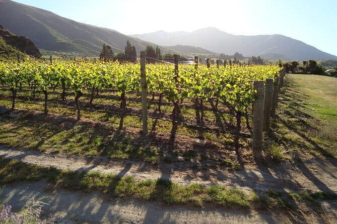 Queenstown Gin and Whiskey tours - Authentic Experiences and Guest Feedback