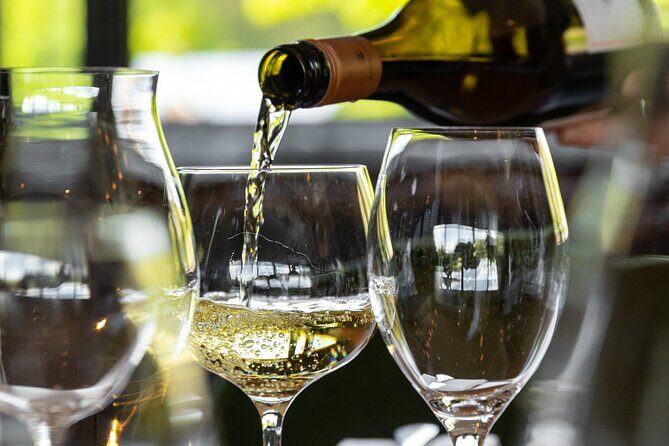 Queenstown Gin, Wine & Beer Tour | Adults Only - FAQ