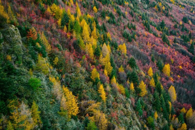 Queenstown: Glenorchy, Arrowtown, & Crown Range Tour - Who Would Benefit Most?