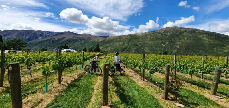 Queenstown: Guided E-Bike Tour with Winery Visits & Tastings - Key Points