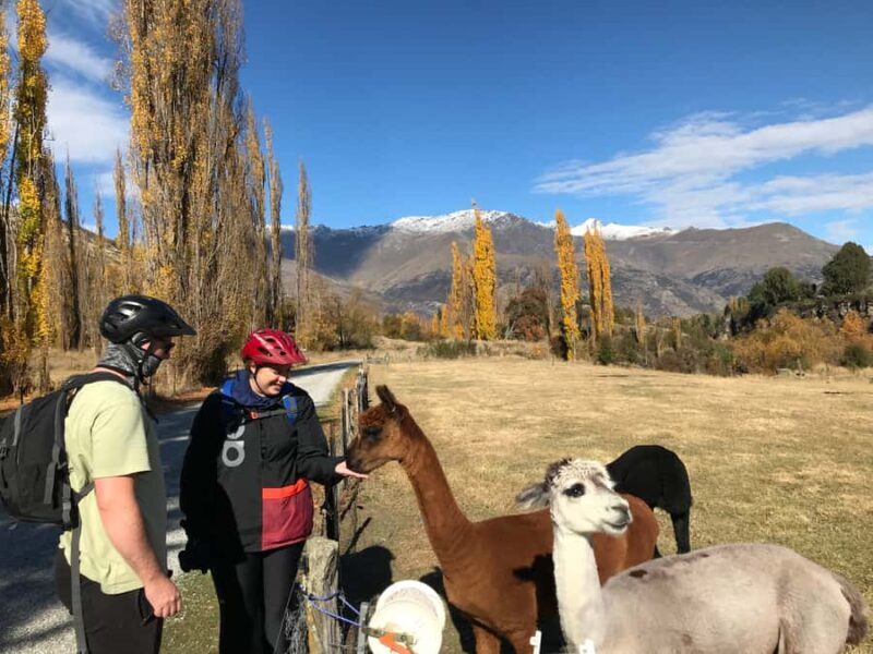 Queenstown: Guided E-Bike Tour with Winery Visits & Tastings - Who Will Love This Tour?