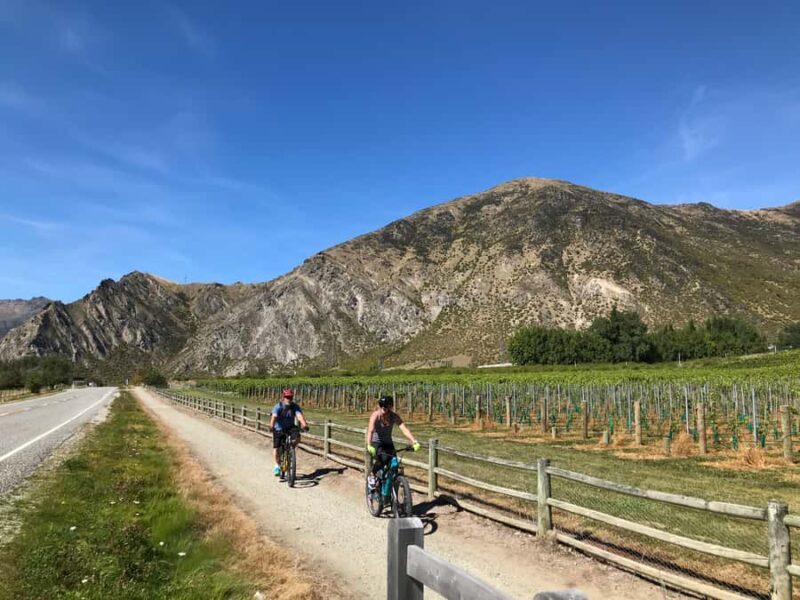Queenstown: Guided E-Bike Tour with Winery Visits & Tastings - What to Expect from the Practical Side