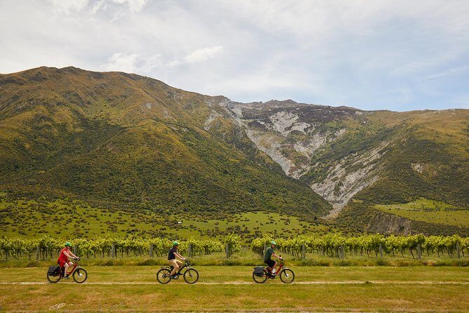Queenstown Guided E-bike Wine Tour - Detailed Breakdown of the Tour Experience