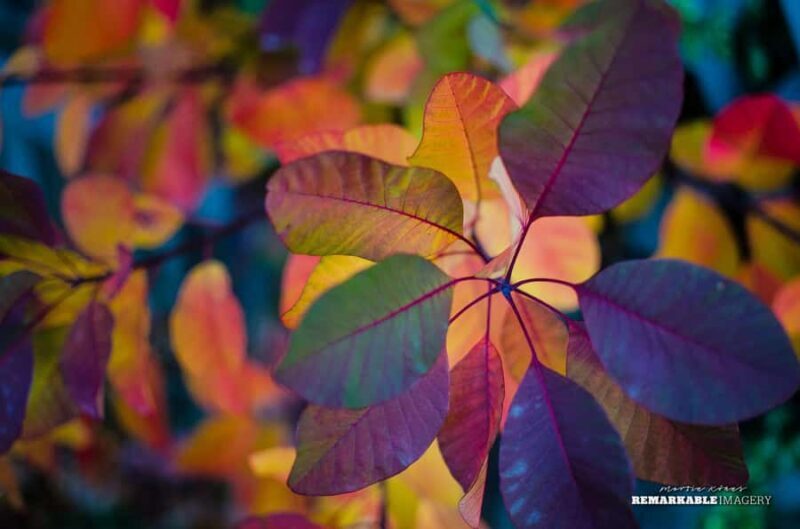 Queenstown: Half Day Private Photography Tour - Practical Details and Tips for Travelers