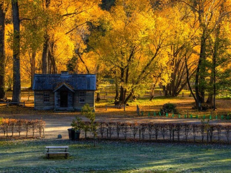 Queenstown: Highlights Tour with Wine Tasting - Who Should Consider This Tour?