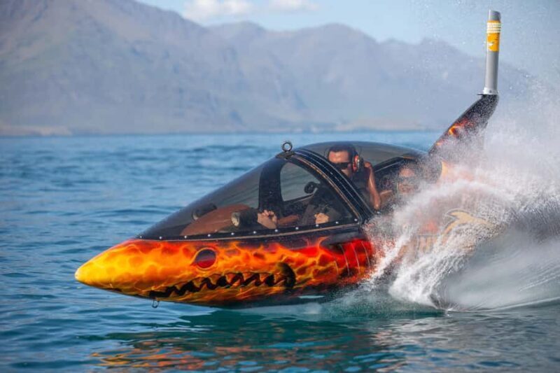 Queenstown: Hydro Attack Shark Ride - Key Points