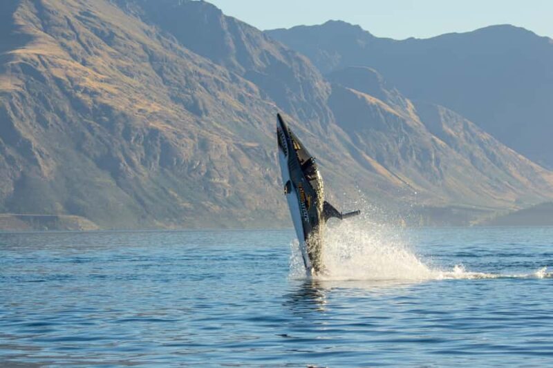 Queenstown: Hydro Attack Shark Ride - Exploring the Experience in Depth