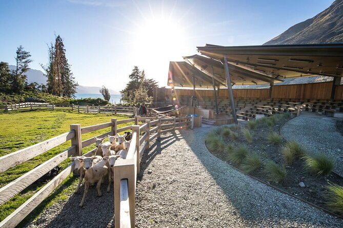 Queenstown Lake Cruise and Walter Peak Farm Adventure - Who Will Appreciate This Tour?