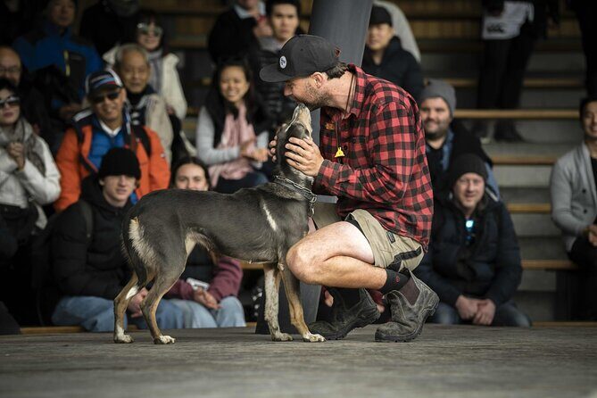 Queenstown Lake Cruise to Walter Peak Farm with BBQ Buffet - Value and Practical Considerations