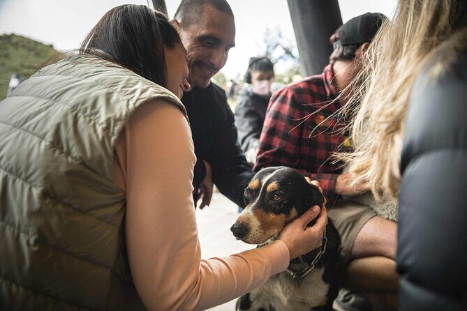 Queenstown Lake Cruise to Walter Peak Farm with BBQ Buffet - Who Will Enjoy This Tour?