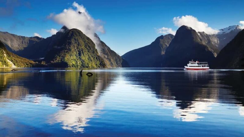 Queenstown: Milford Sound Day Trip - Cruise & Picnic Lunch - The Practical Side: Transport, Timing, and Value
