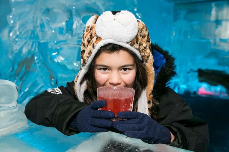 Queenstown: Minus 5 Ice Bar Experience with Drink Options - What is the Minus 5º ICE BAR?
