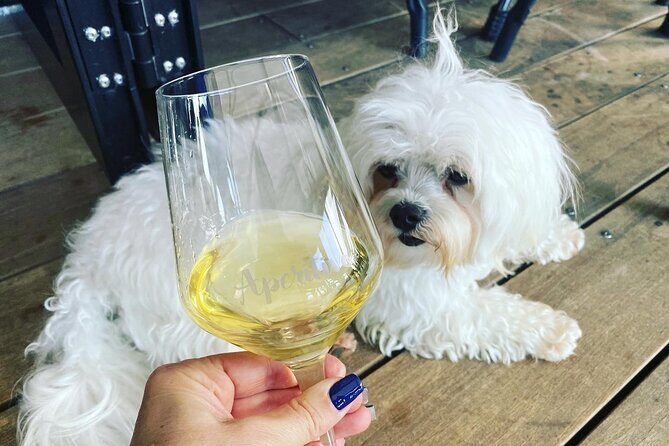 Queenstown More Than A Wine Tour - The Sum Up