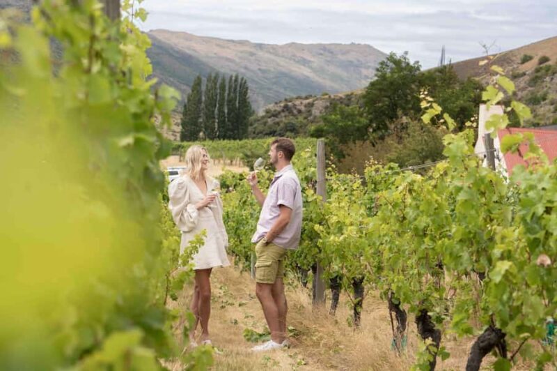 Queenstown: Original Premium Half-Day Gibbston Wine Tour - Key Points