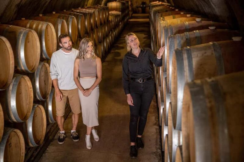 Queenstown: Original Premium Half-Day Gibbston Wine Tour - The Sum Up