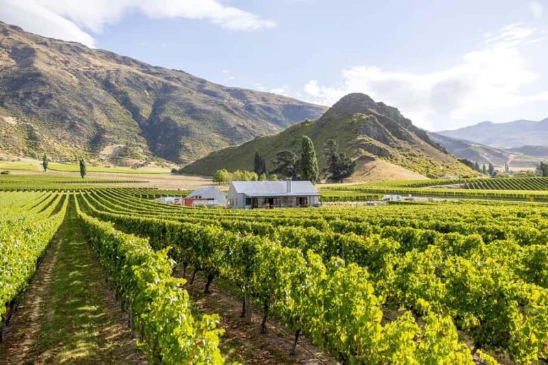 Queenstown: Original Premium Half-Day Gibbston Wine Tour - FAQ