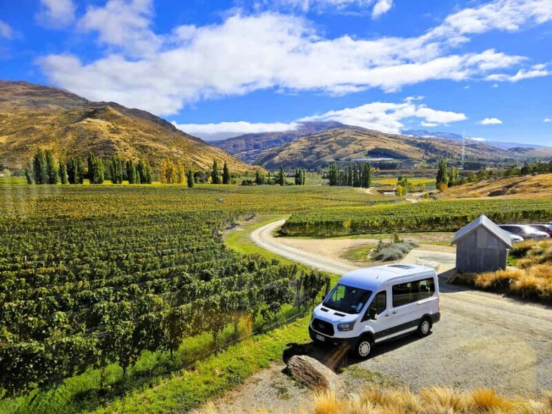 Queenstown: Premium Full-Day Central Otago Wine Tasting Tour - Key Points