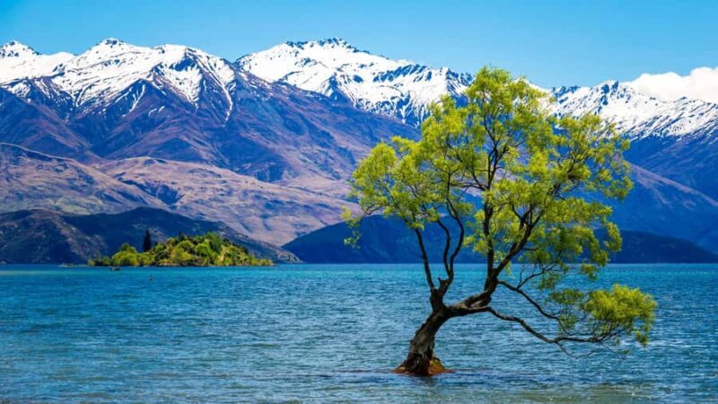 Queenstown: Private Day Trip to Wanaka, Arrowtown & More - Key Points