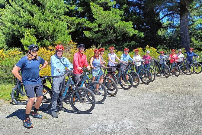 Queenstown - Private Family Group Bike Tour, Up to 11 E-bikes - Who Should Consider This Tour?