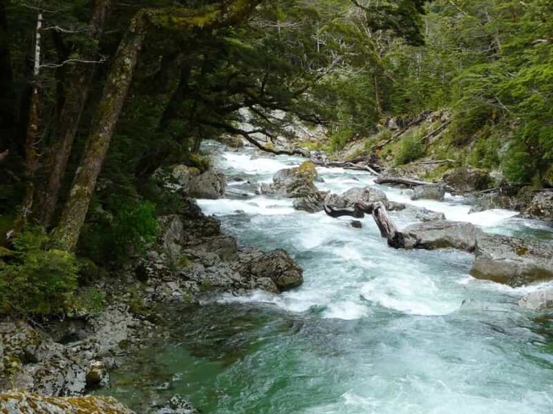Queenstown: Routeburn Track Guided Full-Day Walk or Half Day - Exploring the Itinerary in Detail