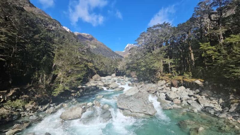 Queenstown: Routeburn Track Guided Full-Day Walk or Half Day - Deep Dive: Why This Tour Matters for Travelers