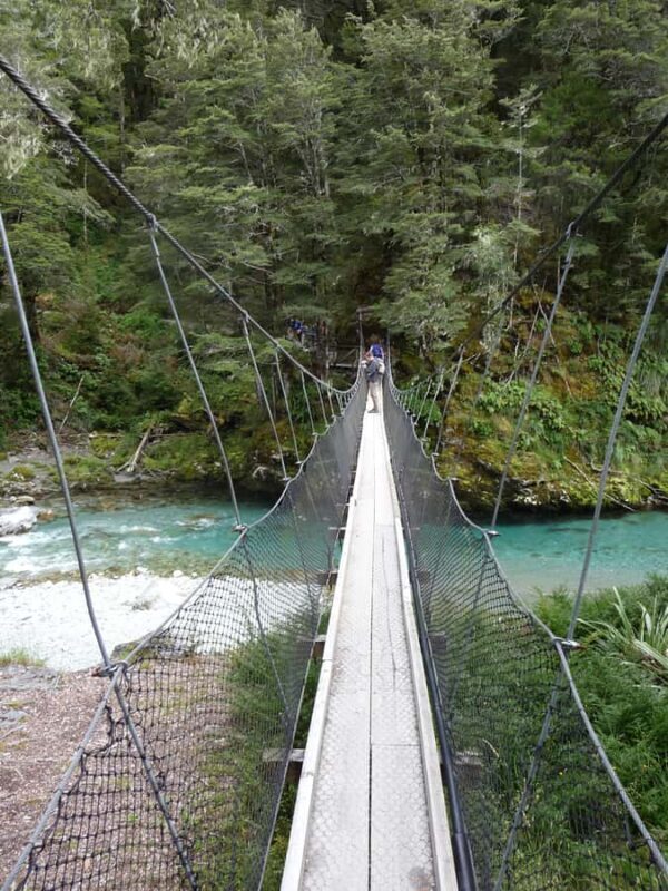 Queenstown: Routeburn Track Guided Full-Day Walk or Half Day - Frequently Asked Questions