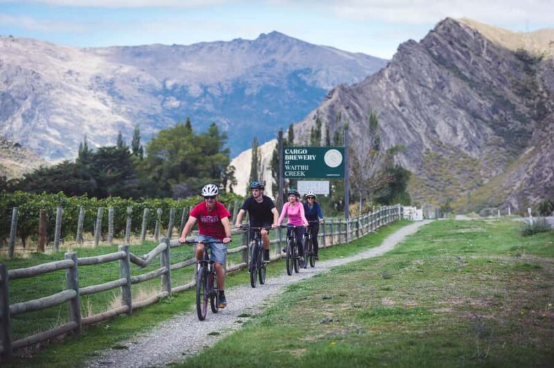 Queenstown: Self-Guided Gibbston Valley Wineries Bike Tour - Key Points