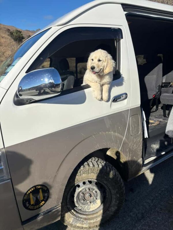 Queenstown: Skippers Canyon Goldrush Highlights Tour - Final Thoughts