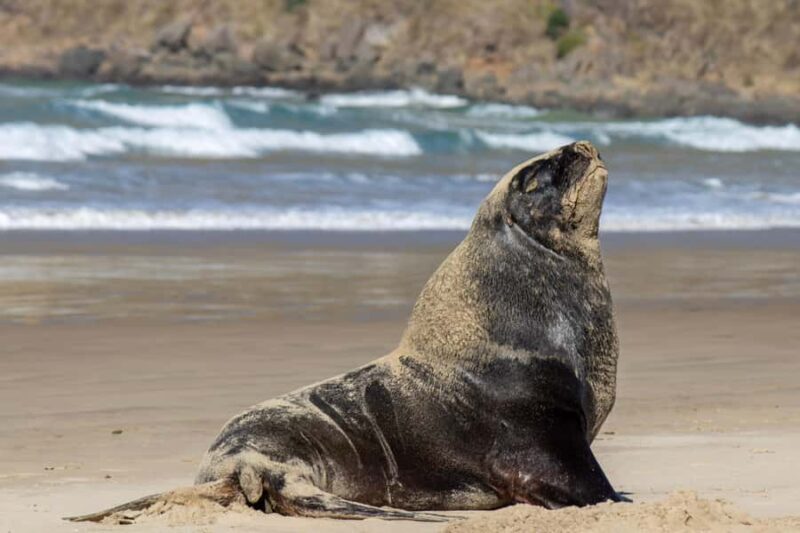 Queenstown: Southern Highlights  3 Days & 2 Nights - Exploring the Itinerary in Detail