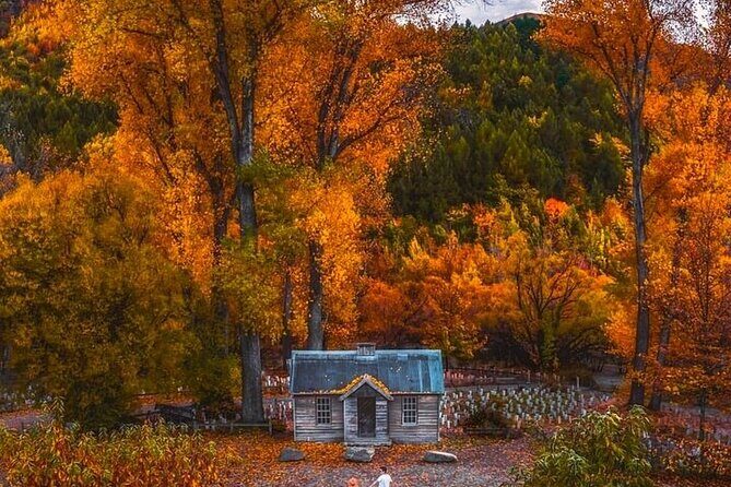 Queenstown to Christchurch One Way Tour Via Lake Tekapo & Mt Cook - Why Travelers Love This Tour
