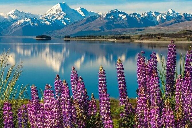 Queenstown to Christchurch One Way Tour Via Lake Tekapo & Mt Cook - Practical Considerations