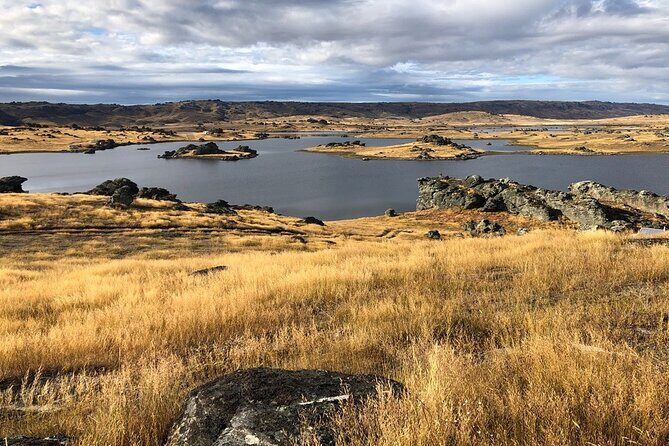Queenstown to Dunedin with Taieri Gorge Train One-Way Tour - Historic and Scenic Stops