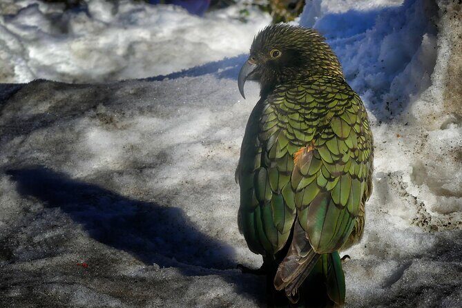 Queenstown to Mt Cook Small Group Tour (One-Way) - Aoraki Mount Cook National Park