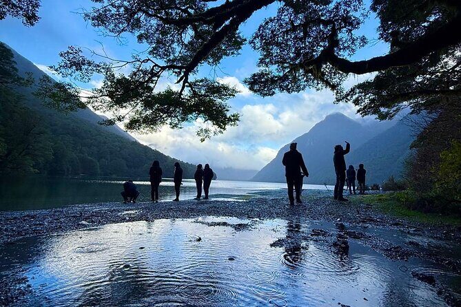 Queenstown to Te Anau via Milford Sound inc Cruise & Lunch - An In-Depth Look at the Tour Experience