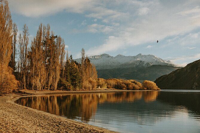 Queenstown to Wanaka Small-Group Tour (one-way) - An In-Depth Look at the Queenstown to Wanaka Experience