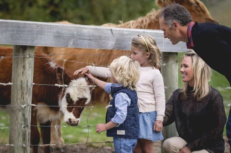 Queenstown: Walter Peak Farm Tour and Lake Cruise - Who Should Consider This Tour?