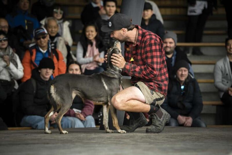 Queenstown: Walter Peak Farm Tour and Lake Cruise - Final Word