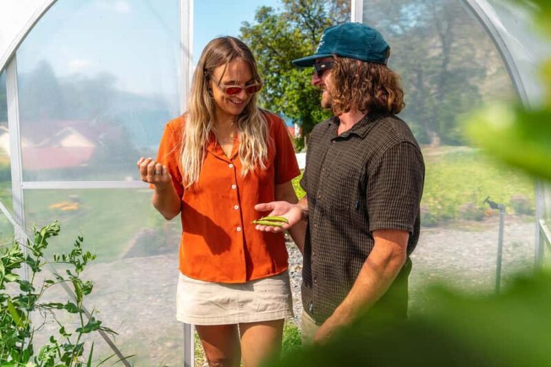 Queenstown: Walter Peak Garden to Table Experience - Key Points