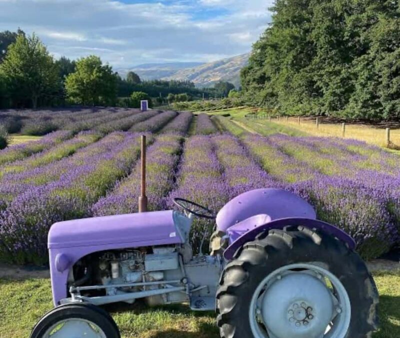 Queenstown: Wanaka & Arrowtown Guided Private Day Tour - Key Points