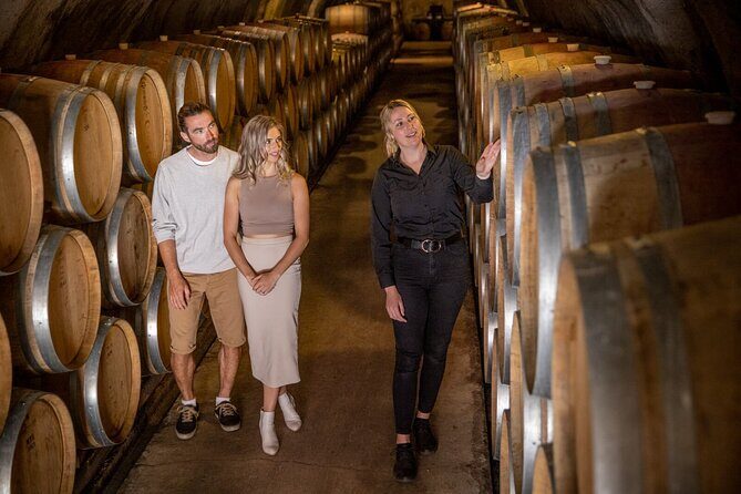 Queenstown Wine & Food Tour: Scenery, Tastings & Delicious Lunch! - The Experience in Practice