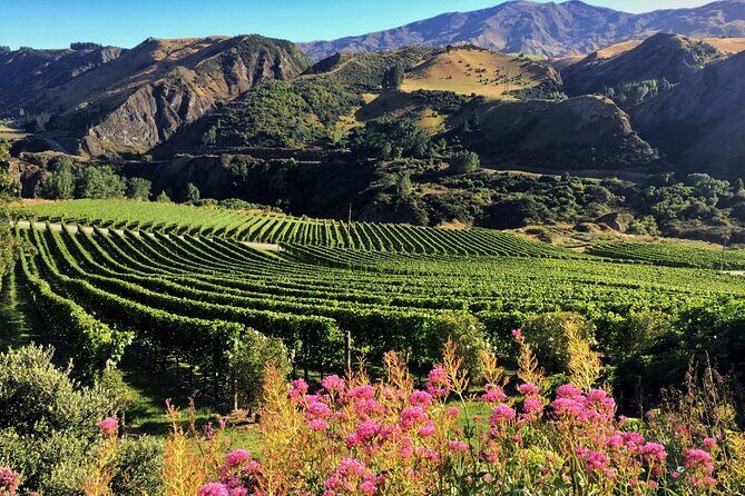 Queenstown Wine Tour - Authentic Experiences and Honest Impressions