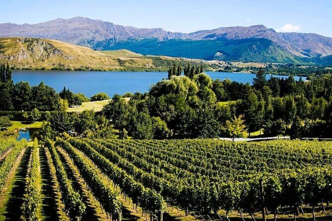Queenstown Wine Tour - Final Thoughts