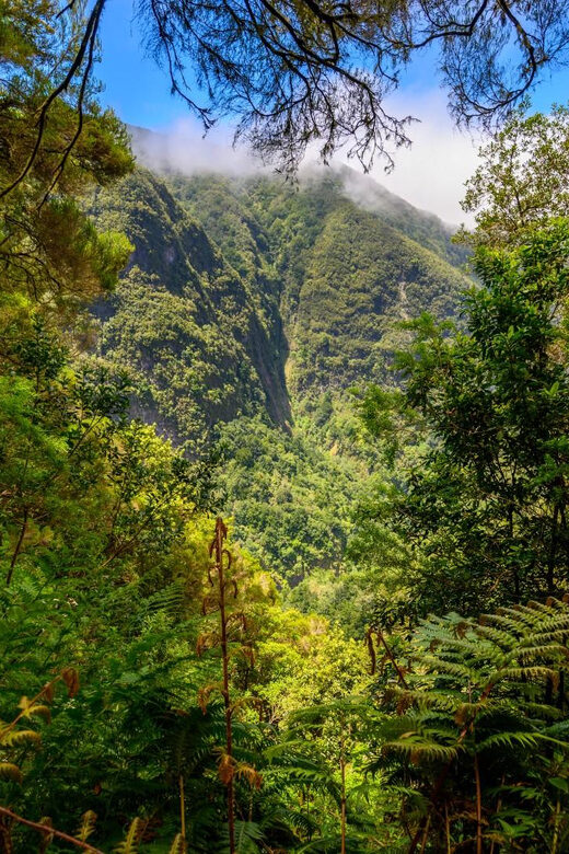 Queimadas Caldeirão Verde Madeira Island Walk - FAQ